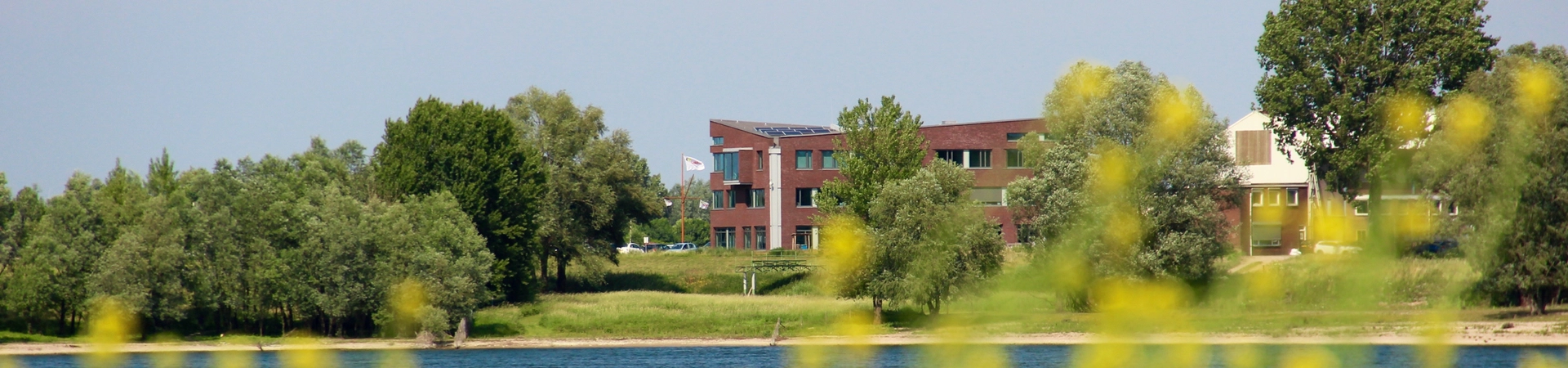 cover-image