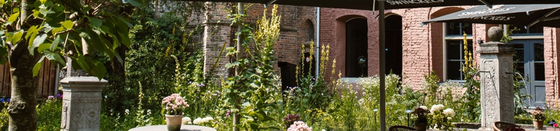 cover-image