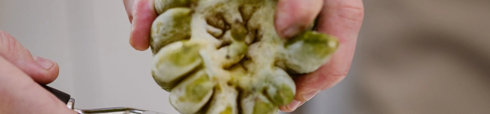 cover-image